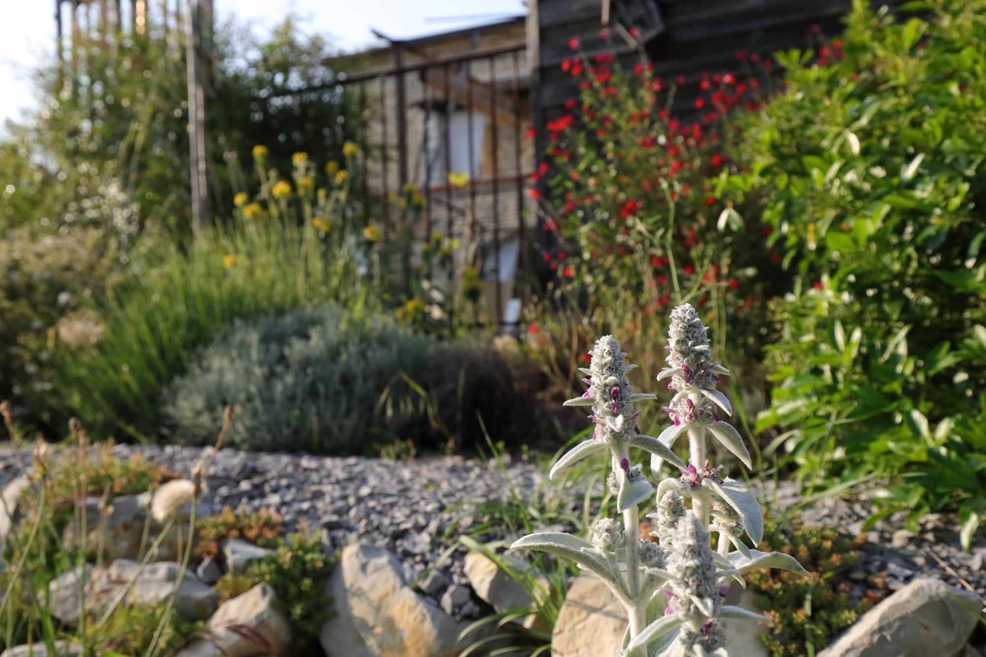 La Gourmandine Guest house Courry