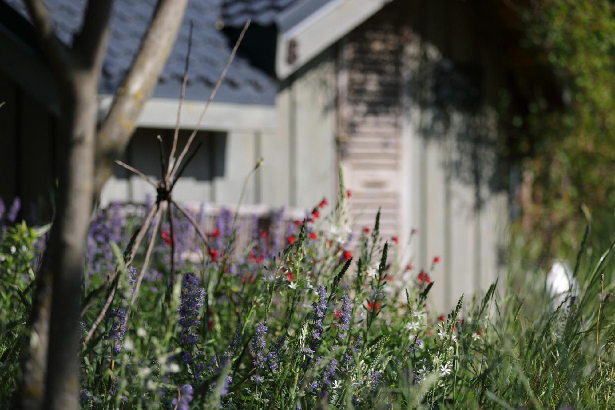 Guest house La Gourmandine